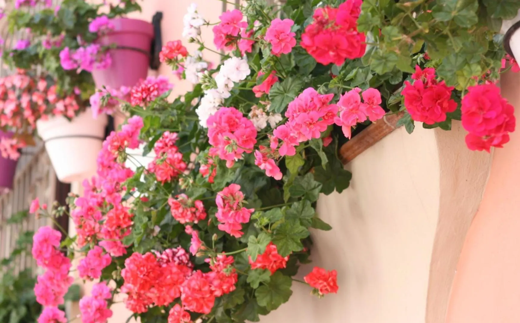 Hotel El Pilar Andalucia 埃斯特波纳